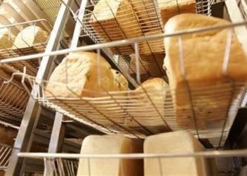 10 Jenis Makanan yang Harus Dihindari Penderita Asam Urat