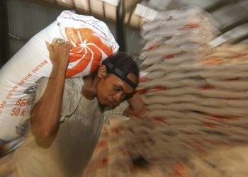 Mengurai Penyebab Kenaikan Harga Beras di Tengah Melimpahnya Cadangan