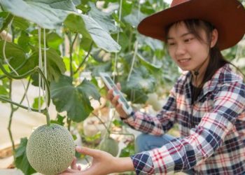 Gen Z Mulai Tertarik Profesi Tradisional, Apa yang Terjadi?