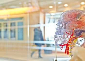 Waspada Serangan Stroke Pagi Hari, Kenali Gejala dan Pemicunya