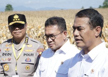 Beras Oplosan Menjadi Peluang untuk Penggilingan Kecil