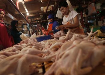 Daging Ayam Mahal, Warga Cilacap Memilih Beli Kepala dan Ceker