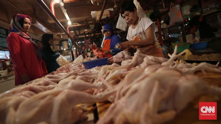 Daging Ayam Mahal, Warga Cilacap Memilih Beli Kepala dan Ceker