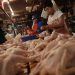 Daging Ayam Mahal, Warga Cilacap Memilih Beli Kepala dan Ceker