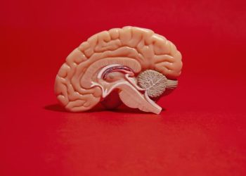 Pasien Alzheimer Termuda Dunia Berusia 19 Tahun, Ahli Saraf Heran