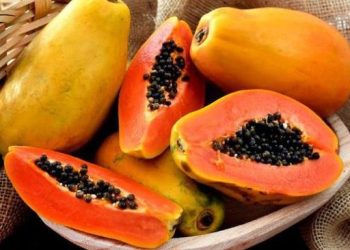 Kombinasi Buah Berbahaya bagi Tubuh yang Sering Tidak Disadari Banyak Orang