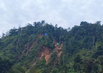 321 Hektare Tambang Ilegal Kembali Ke Negara