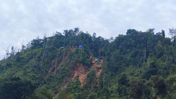 321 Hektare Tambang Ilegal Kembali Ke Negara