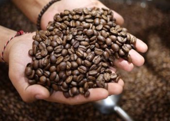 Waktu Terbaik Minum Kopi Agar Tidak Mati Muda, Jangan Asal!