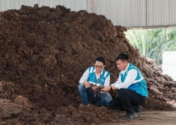 Genjot Ekosistem Biomassa PLN EPI untuk Capai Target 3 Juta Ton pada 2025