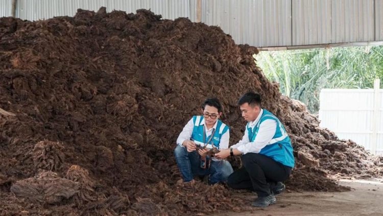 Genjot Ekosistem Biomassa PLN EPI untuk Capai Target 3 Juta Ton pada 2025