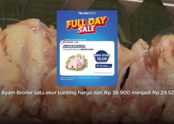 Promo Harga Ayam Broiler di Transmart