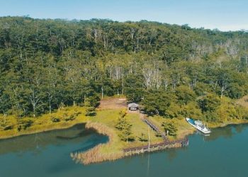 UBS Group Beli Saham Bumi Resources BUMI Senilai Rp50 M, Ini Tujuannya