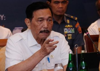 Luhut Minta Suntik Dana Rp50 T ke INA untuk Purbaya