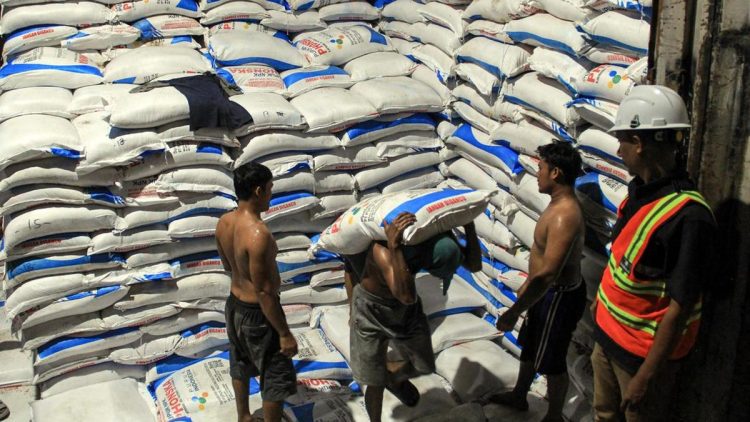 Harga Pupuk Subsidi Turun Dinilai Menguntungkan Petani dan Industri