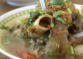 Manfaat Kesehatan Tulang Sumsum yang Jarang Diketahui Hingga Sekarang