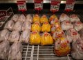 Ayam Broiler Diskon Mulai Rp27 Ribu di Full Day Sale Transmart