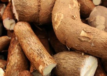 3 Makanan yang Harus Dihindari Saat Mengonsumsi Singkong Rebus, Berbahaya!