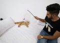 Fakta Unik Mengapa Kucing Oren Dikenal Sebagai Nakal dan Barbar oleh Manusia