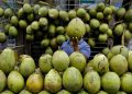 7 Waktu Terbaik untuk Minum Air Kelapa yang Perlu Diketahui
