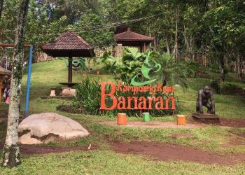 Keindahan Kampoeng Kopi Banaran PTPN I yang Memikat Hati