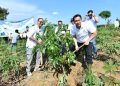 Hijaukan Hulu, Program Penanaman Ratusan Pohon Produktif di Bogor
