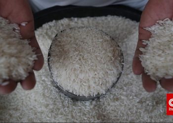 Bulog Salurkan 1200 Ton Beras Murah di Papua untuk Redam Lonjakan Harga