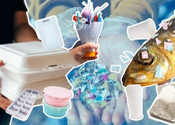 Warga RI Peringkat Pertama Dunia dalam Mengonsumsi Mikroplastik, Berikut Sumbernya