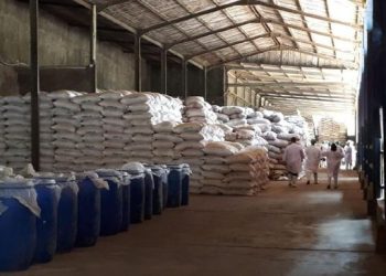 Emiten Daging Resmi Tambah Usaha Masuk MBG Prabowo