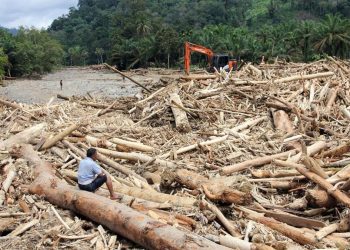 Agincourt Menyampaikan Pendapat Terkait Penangguhan KLH Soal Banjir Sumut