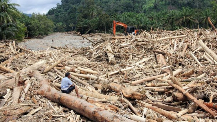 Agincourt Menyampaikan Pendapat Terkait Penangguhan KLH Soal Banjir Sumut