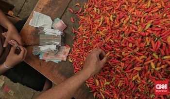 Defisit 519 Ton Cabai dan 669 Ton Bawang Putih di Sulsel Menjelang Nataru