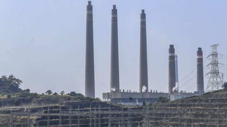 Target PLN 10 Juta Ton Biomassa untuk Bahan Bakar PLTU pada 2030