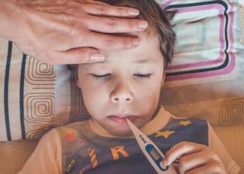 Tetangga RI Dilanda Wabah Virus Nipah, Indonesia Perlu Waspada!