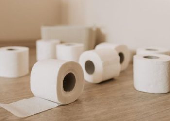 Mengapa Orang Barat Menggunakan Tisu untuk Cebok Bukan Air? Ini Penjelasannya