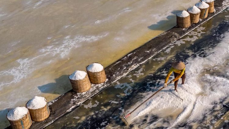 Dua Alasan Garam Rakyat Kurang Dilirik oleh Industri Makanan dan Minuman