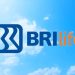 Kenaikan Laba 25,4% di 2025 dan Premi Tembus Rp 3,3 T di BRI Life